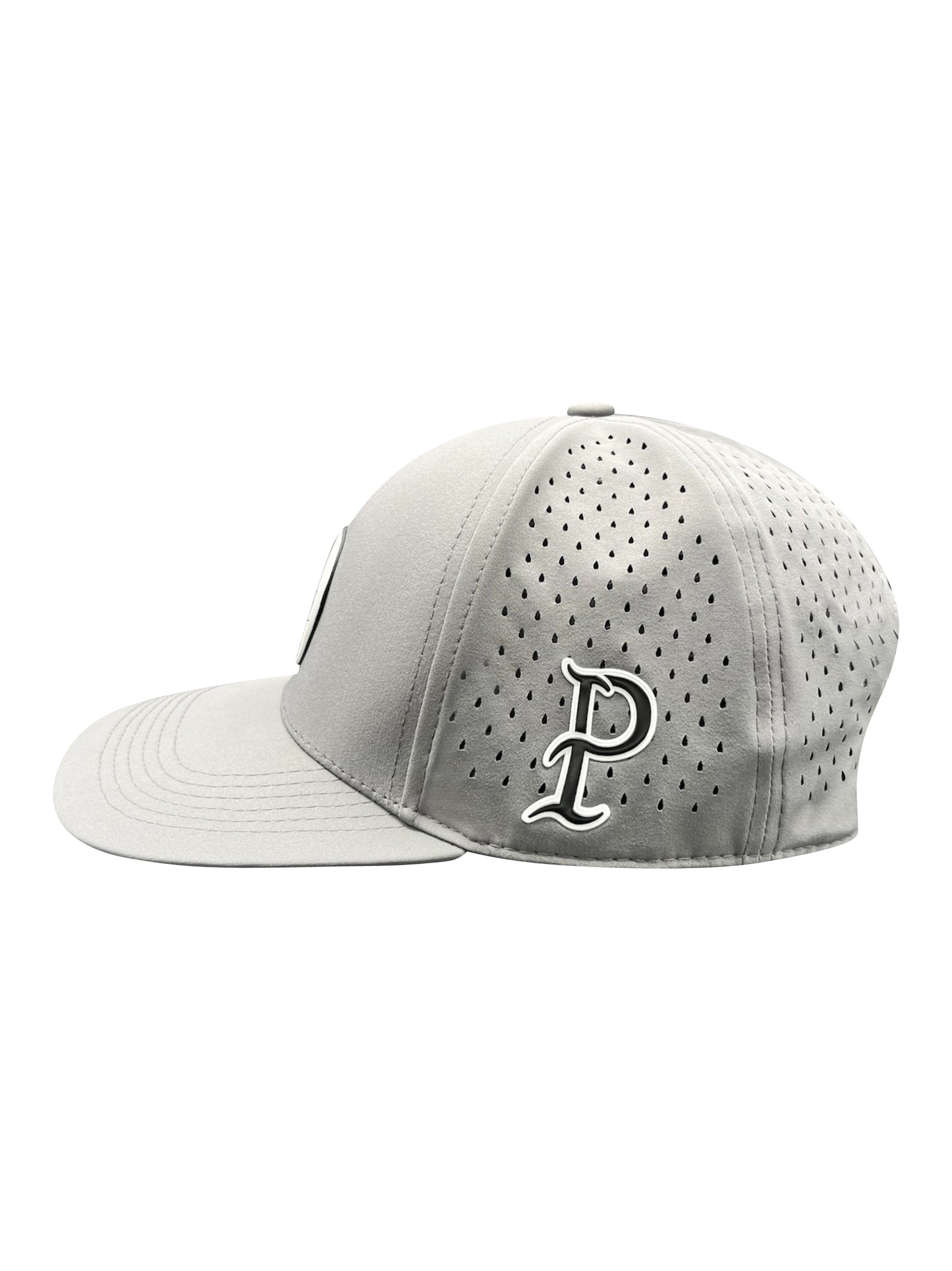Paint Ind. Gray SnapBack