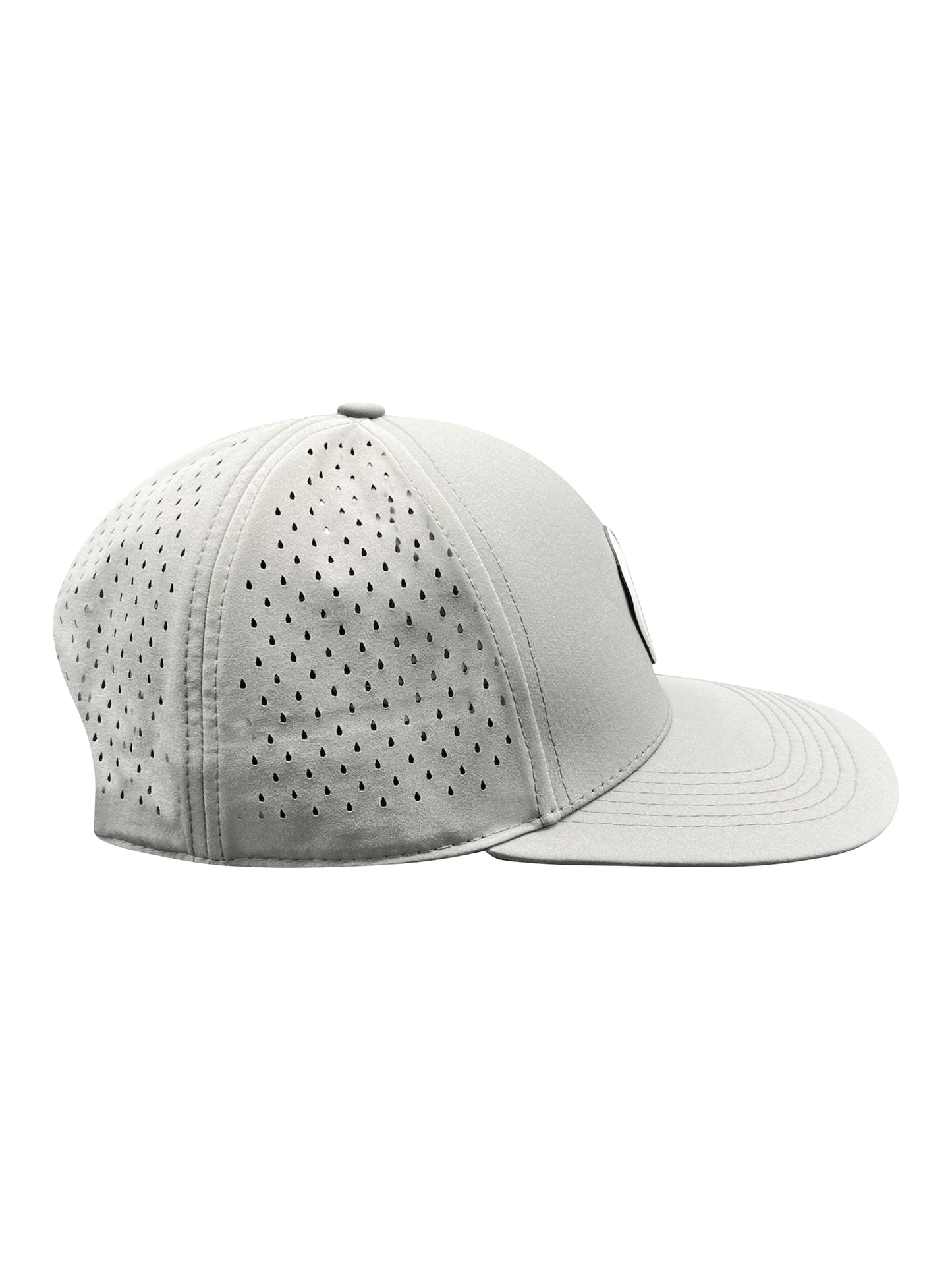 Paint Ind. Gray SnapBack